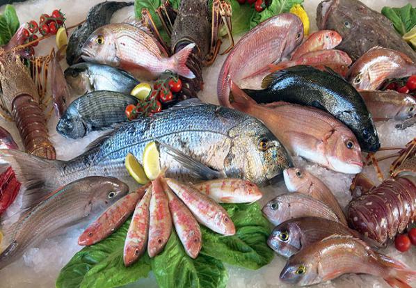 پخش عمده انواع ماهی به بازار