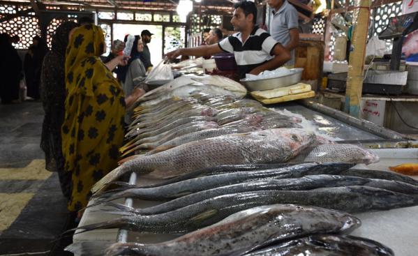 خرید ماهی جنوب | عمده فروش آبزیان دریایی درجه یک