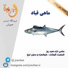 فروش اینترنتی ماهی قباد جنوب