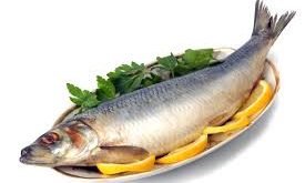 قیمت فروش ماهی جنوب اعلا ایران