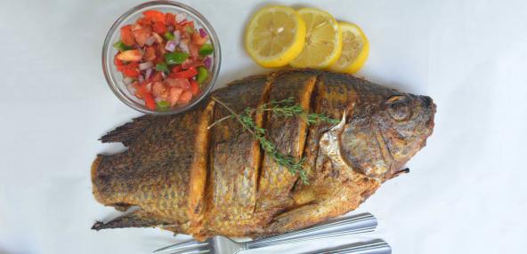 صادرات ماهی تیلاپیا
