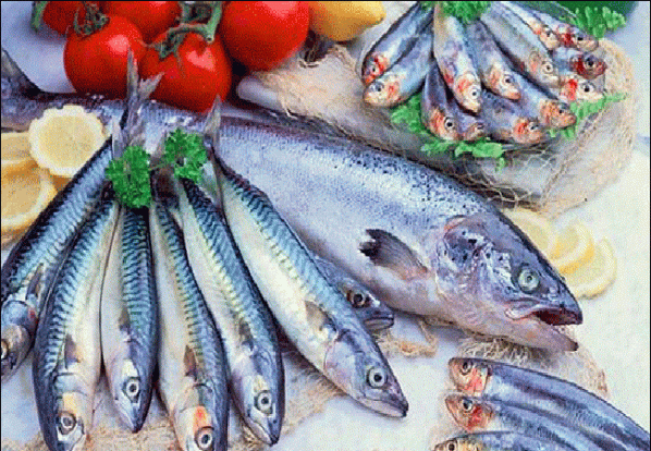 قیمت ماهی ساردین | فروشگاه انواع ماهی و آبزیان دریایی